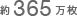 約365万枚